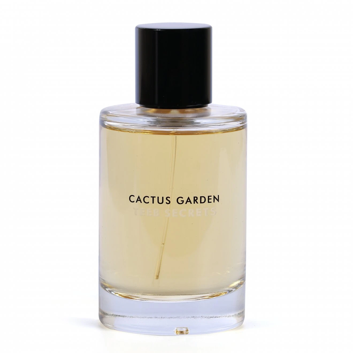 Cactus Garden Teeb Secrets Eau de Parfum glass bottle with pale gold liquid and black cap